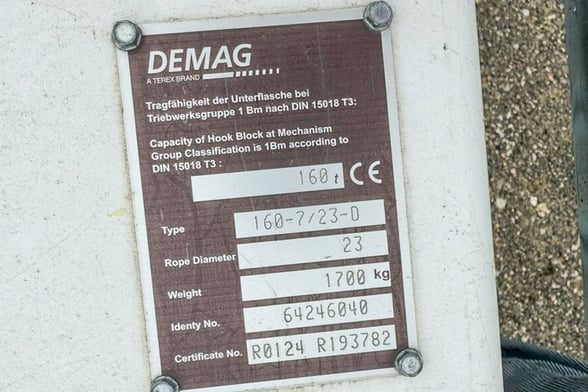 Used 2020 Demag AC 300-6